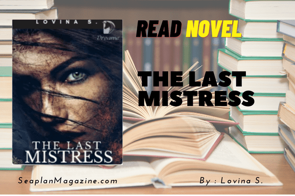 The Last Mistress Novel