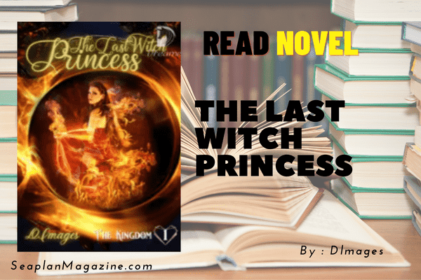 The Last Witch Princess Novel
