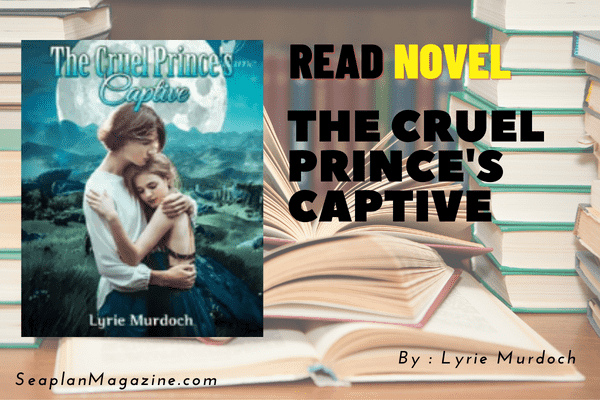 The Cruel Prince's Captive Novel