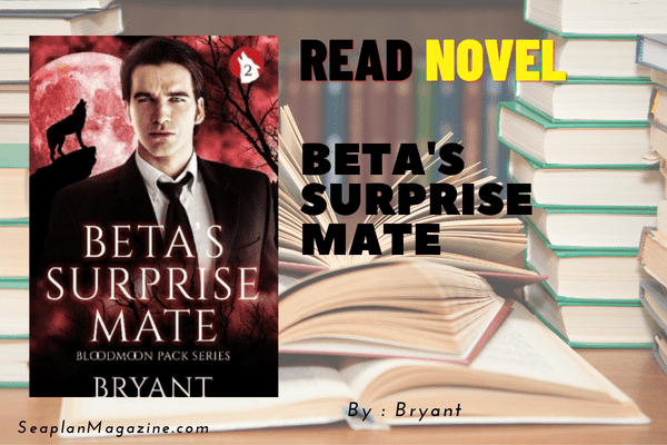 Beta's Surprise Mate Novel