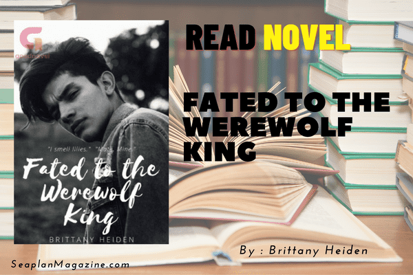 Fated to the Werewolf King Novel