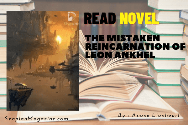 The Mistaken Reincarnation Of Leon AnKhel Novel