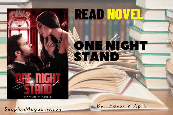 One Night Stand Novel