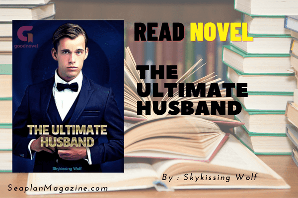 The Ultimate Husband Novel