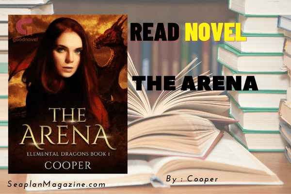 The Arena Novel