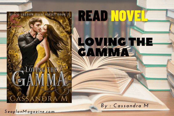 LOVING THE GAMMA Novel