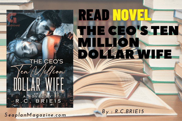 The CEO's Ten Million Dollar Wife Novel