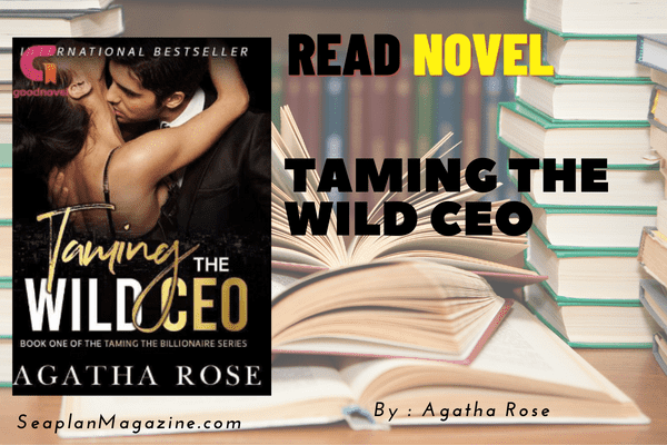 Taming The Wild CEO Novel