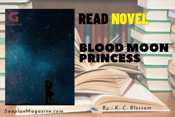Blood Moon Princess Novel