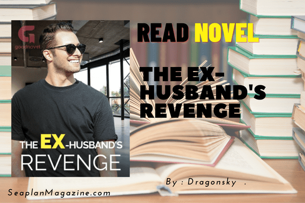 The Ex-Husband's Revenge Novel