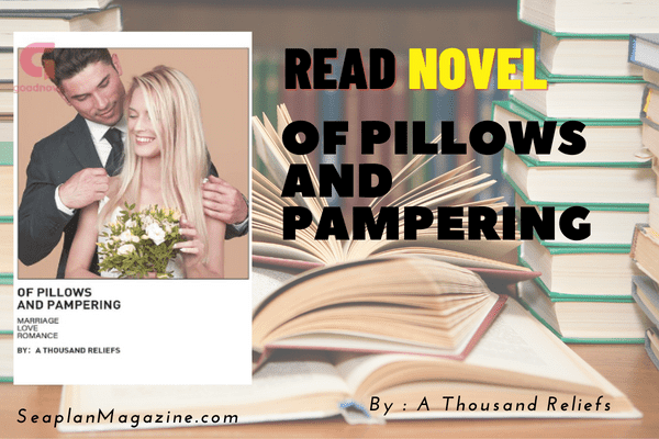 Of Pillows and Pampering Novel
