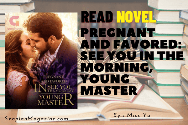 Pregnant and Favored: See You in the Morning, Young Master Novel