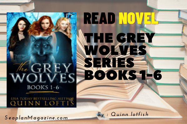 The Grey Wolves Series Books 1-6 Novel 