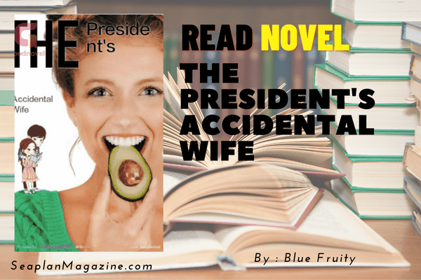 The President's Accidental Wife Novel