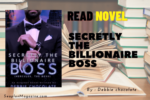 Secretly The Billionaire Boss Novel