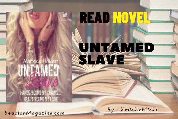 Untamed Slave Novel