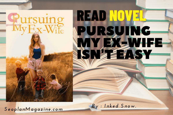 Pursuing My Ex-Wife Isn't Easy Novel