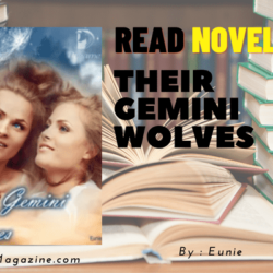 Read Their Gemini Wolves Novel Full Episode
