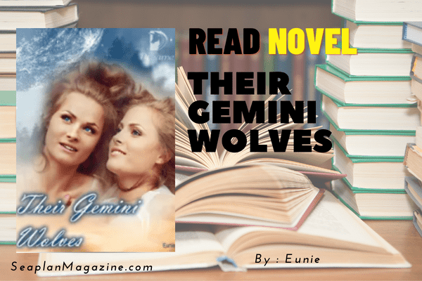 Their Gemini Wolves Novel