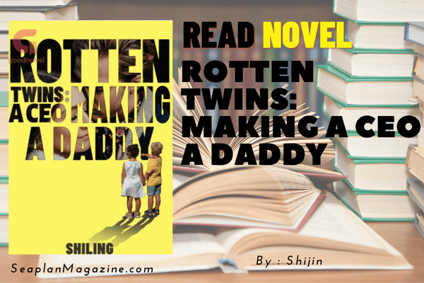 Rotten Twins: Making a CEO a Daddy Novel