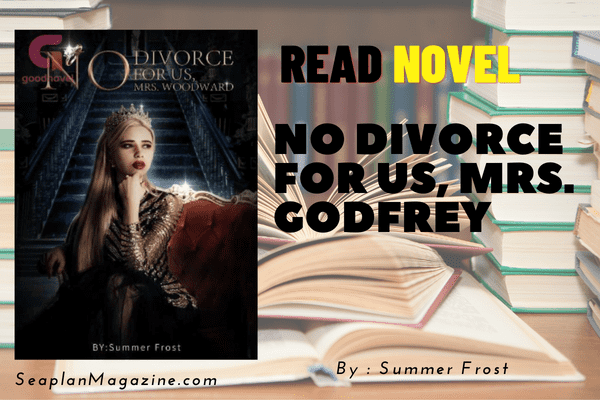 No Divorce For Us, Mrs. Godfrey Novel