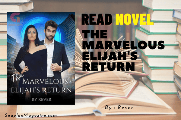 The Marvelous Elijah's Return Novel