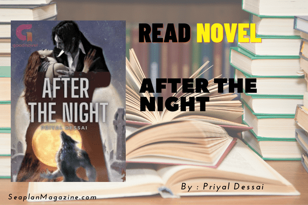 After The Night Novel