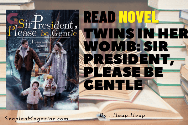 Twins in Her Womb: Sir President, Please be Gentle Novel 