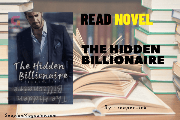 The Hidden Billionaire Novel
