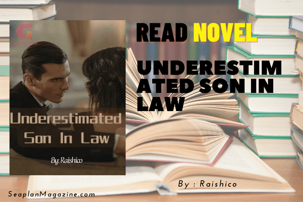 Underestimated Son In Law Novel