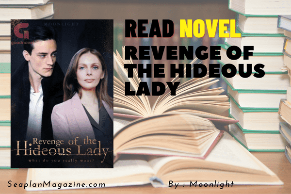 Revenge of the Hideous Lady Novel