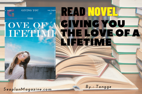 Giving You the Love of a Lifetime Novel