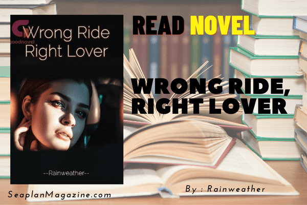 Wrong Ride, Right Lover Novel