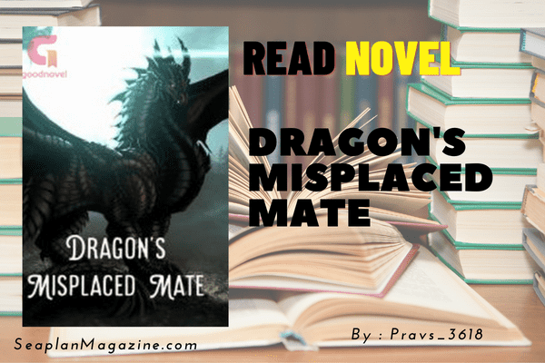 Dragon's Misplaced Mate Novel