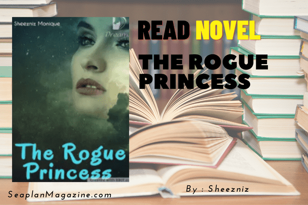 The Rogue Princess Novel
