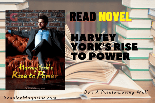 Harvey York's Rise to Power Novel