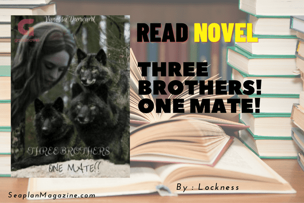 THREE BROTHERS! ONE MATE! Novel