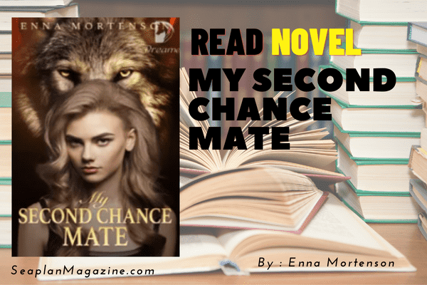My Second Chance Mate Novel
