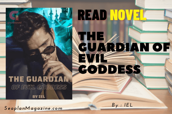 The Guardian of Evil Goddess Novel