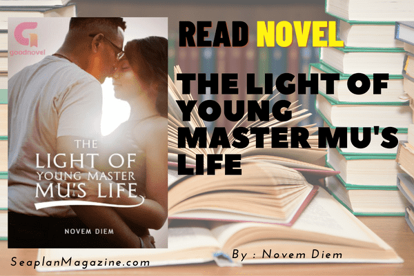 The Light of Young Master Mu's Life Novel