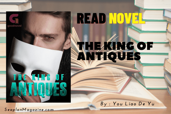The King of Antiques Novel