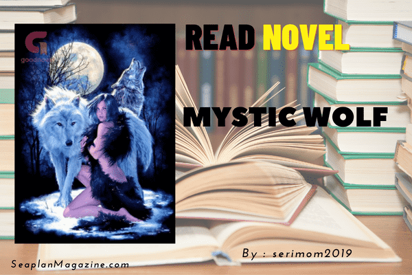 Mystic Wolf Novel