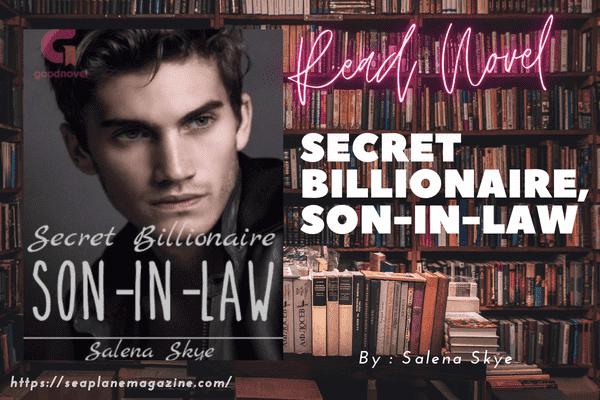 Secret Billionaire, Son-In-Law Novel