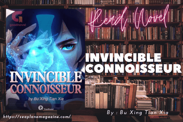Invincible Connoisseur Novel