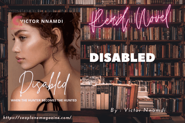 Disabled Novel