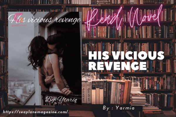 His vicious revenge Novel