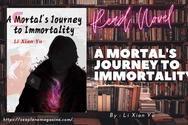 A Mortal's Journey to Immortality Novel