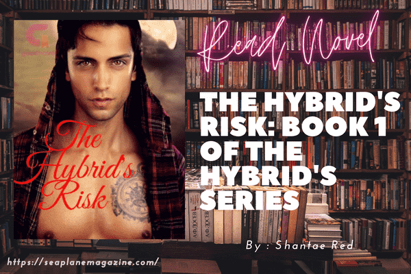 The Hybrid's Risk: Book 1 of The Hybrid's Series Novel
