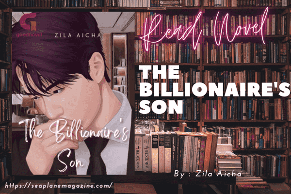 The Billionaire's Son Novel