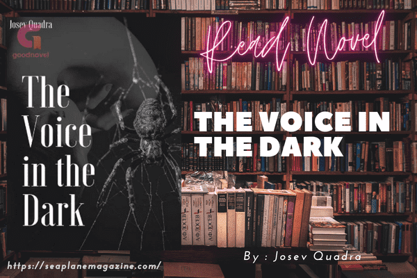 The Voice in The Dark Novel
